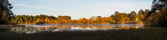 Loch of Blairs Panorama