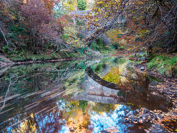 River Divie Reflections 1