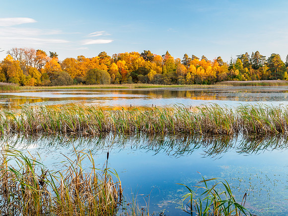 Loch of Blairs 1