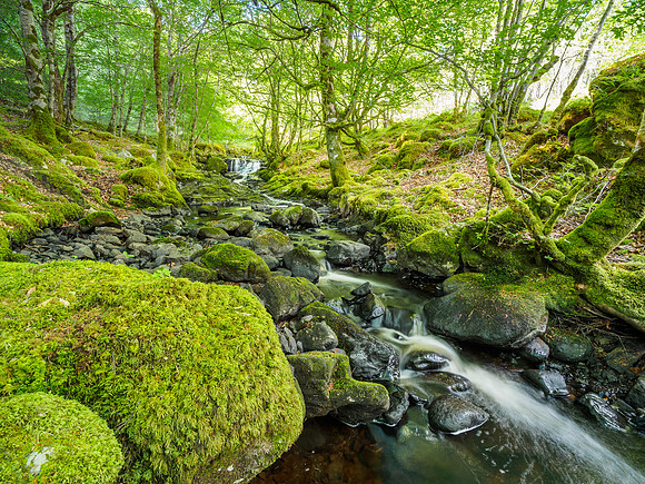 Eskadale Burn (1) [1807085]