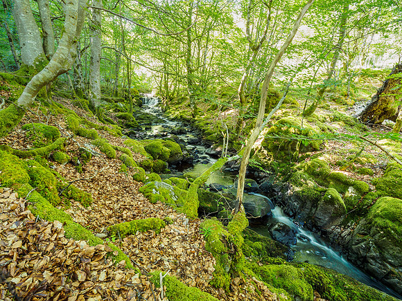 Eskadale Burn (2) [1807086]