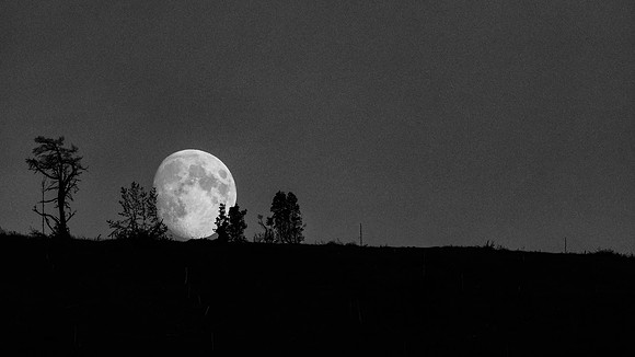 What's That Coming Over The Hill? (2)  [1807071]