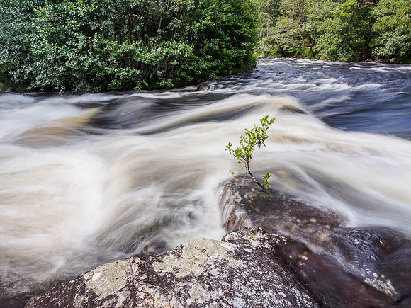 River Farrar (3) [1807055]