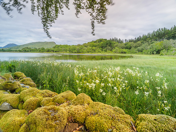 Kilchurn Castle (2) [1807035]