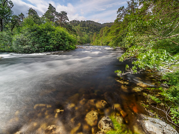 River Farrar (1) [1807053]