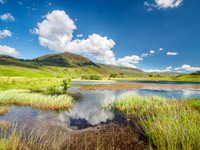 Colourful Glen Cannich (2) [1807003]