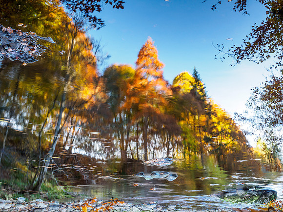 River Divie Reflections 1