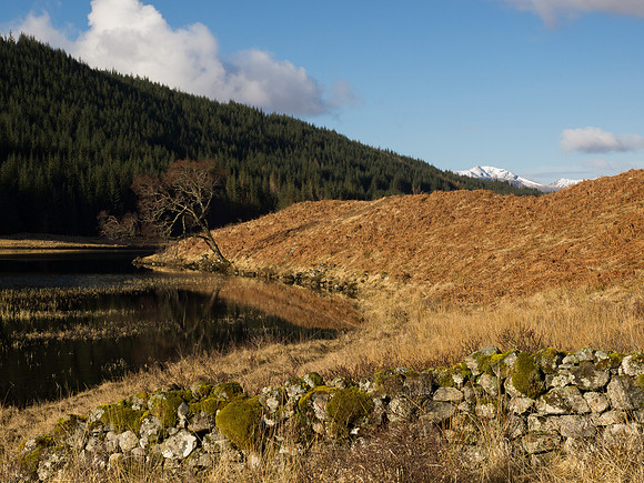 20130427-Glen Garry-R4274927