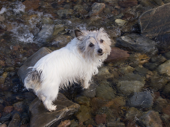 Mij in Urquhart Bay Wood