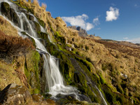 Bright Green Waterfall