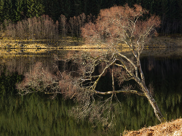 20130427-Glen Garry-R4274933