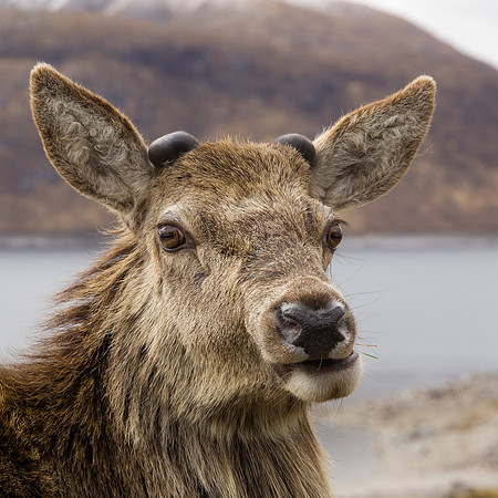 20130427-Glen Garry-R4274973