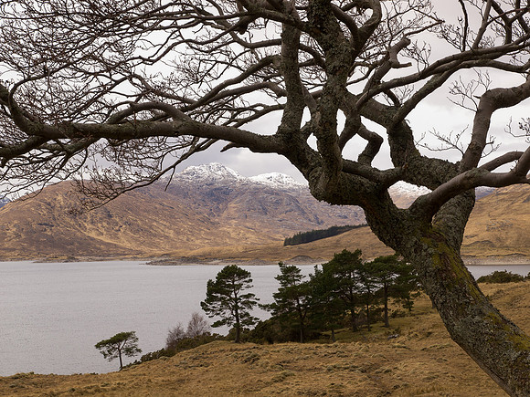 20130427-Glen Garry-R4275046