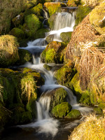 Bright Green Waterfall