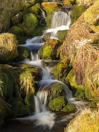 Bright Green Waterfall