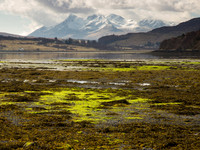 The Cuillin from Portree