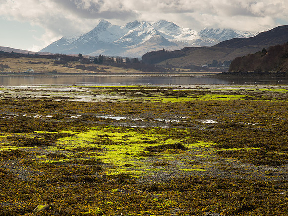 The Cuillin from Portree