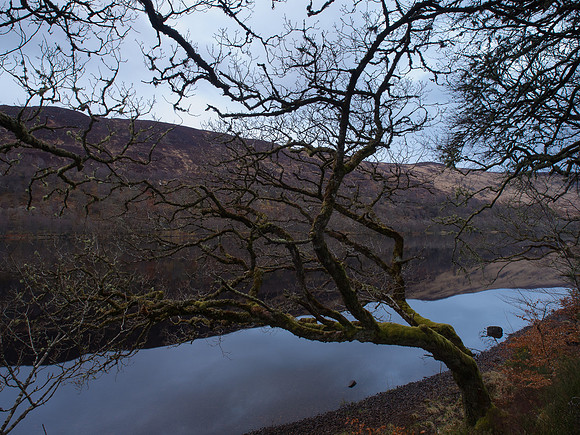 20130427-Glen Garry-R4274880
