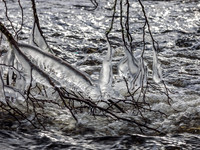 Alien Spawn [1902013]