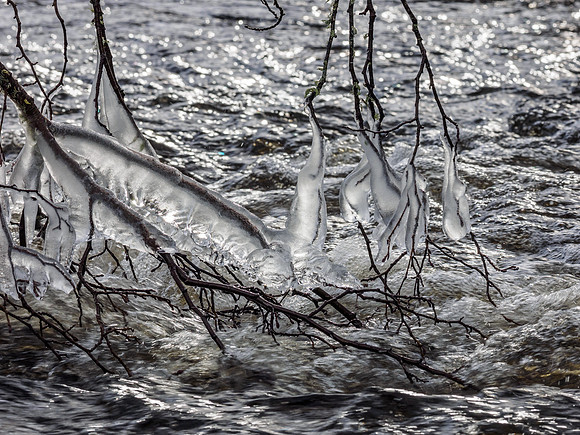 Alien Spawn [1902013]