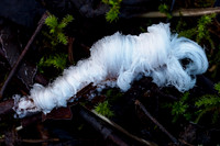 Frost Flower