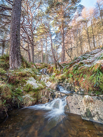 Glen Affric