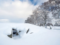 Snowy Corrimony
