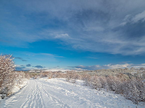 Corrimony Snow