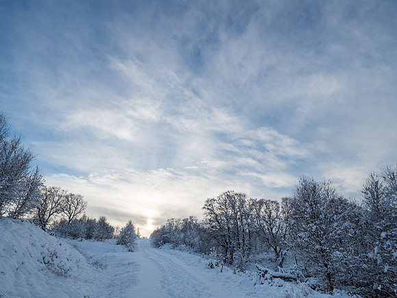 Corrimony Snow