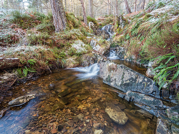 Glen Affric