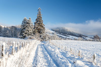 Bright Cold Day