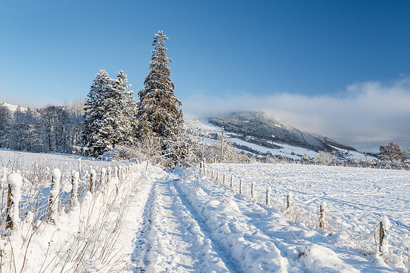 Bright Cold Day