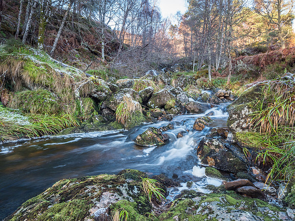 Glen Affric