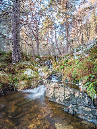 Glen Affric