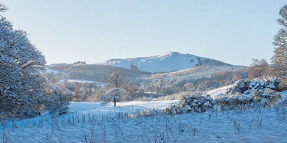 Bright Cold Day