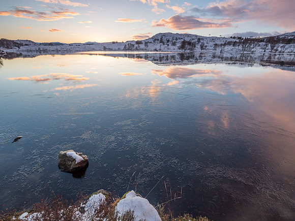 That Loch Again!