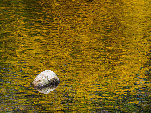 Golden River