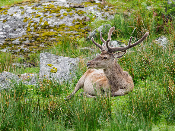 'Chillaxing'