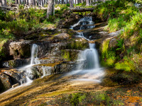 Falls on the Allt Fhearnagan, Glen Feshie