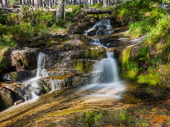 Falls on the Allt Fhearnagan, Glen Feshie