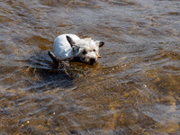 Mij with Stick
