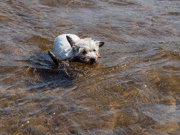 Mij with Stick