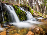 Falls on the Allt Fhearnagan, Glen Feshie