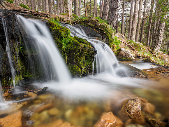 Falls on the Allt Fhearnagan, Glen Feshie