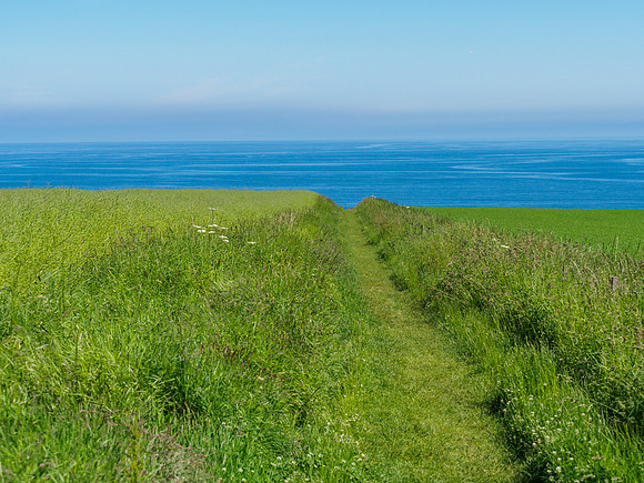 Green and Blue, Sea View