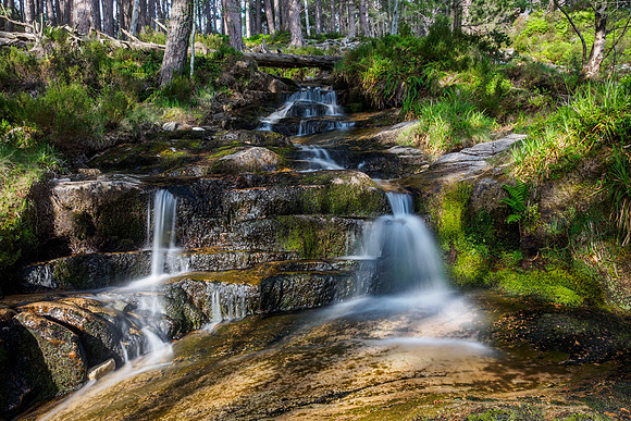 Falls on the Allt Fhearnagan, Glen Feshie