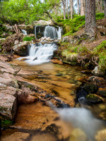 Falls on the Allt Fhearnagan, Glen Feshie