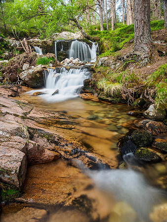 Falls on the Allt Fhearnagan, Glen Feshie