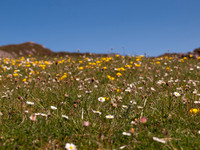 Arisaig Trip