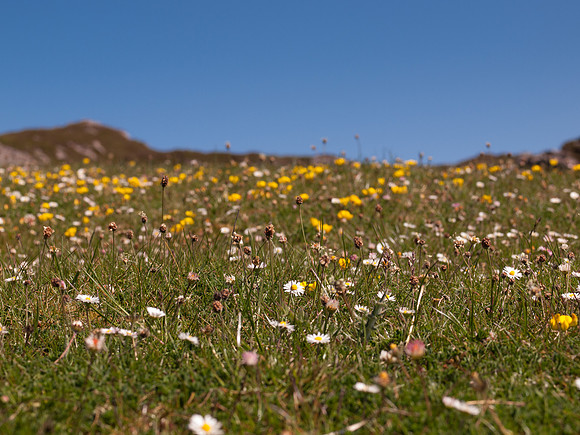 Arisaig Trip